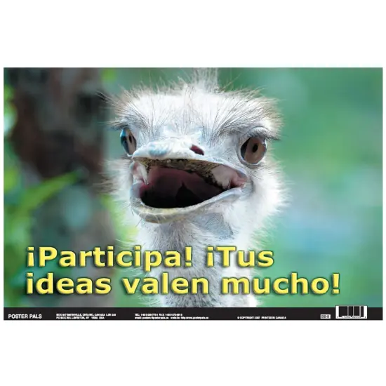 Poster Pals Spanish Educational and Language Teaching Fun Photo Posters,Bilingual Charts, Classroom Decorations, 4 Poster Set {5}