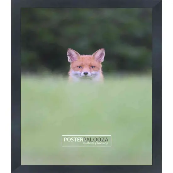 Photo Size Modernist Black Picture Frame - UV Acrylic, Foam Board Backing, Hanging Hardware {4}