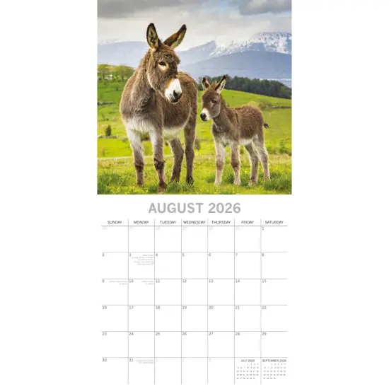 The Gifted Stationary 2026 Square Wall Calendar, Donkeys, 16-Month Animals Theme Hanging Calendar with 180 Reminder Stickers, Month Planner for Home, or Creative Spaces, 12x12 In Multicolor {3}