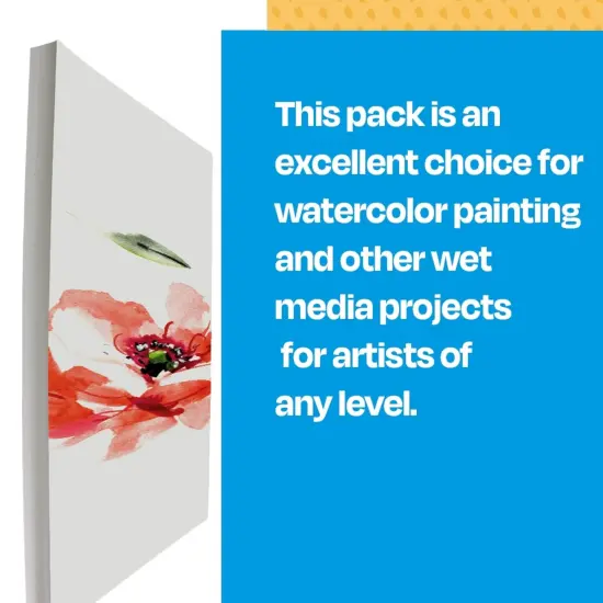 Sax Halifax Cold Press Watercolor Paper, 22 x 30 Inches, 90 lb, White, 100 Sheets {7}