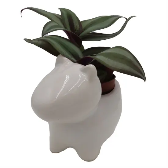 Dog Ceramic Planter with Surprise Terrarium Plant -3" Pot {5}