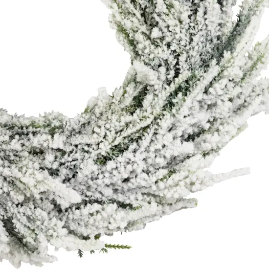 Northlight Heavily Flocked Pine Artificial Christmas Wreath - 11.75" - Unlit Green {4}