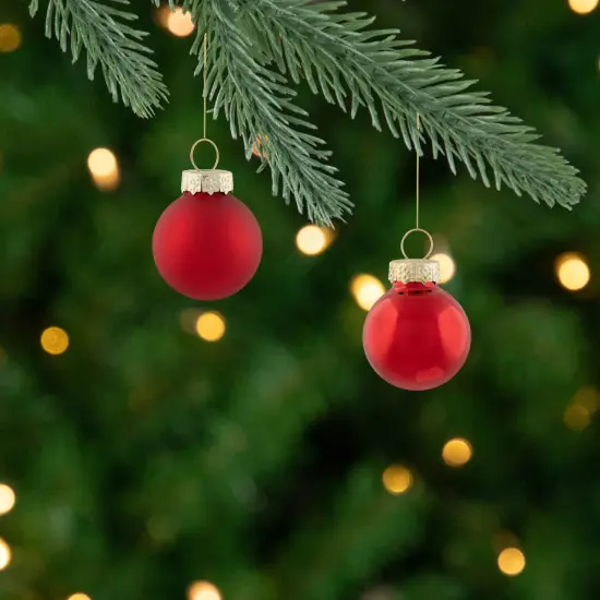 Northlight 2-Finish Mini Christmas Glass Ball Ornaments - 1" (25mm) - Red - 24ct {4}