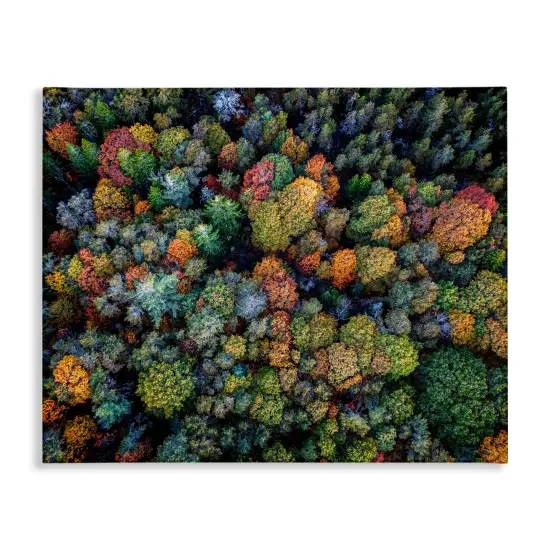 Stupell Industries Aerial View Autumnal Foliage Canvas Wall Art Design by Rick Berk {1}
