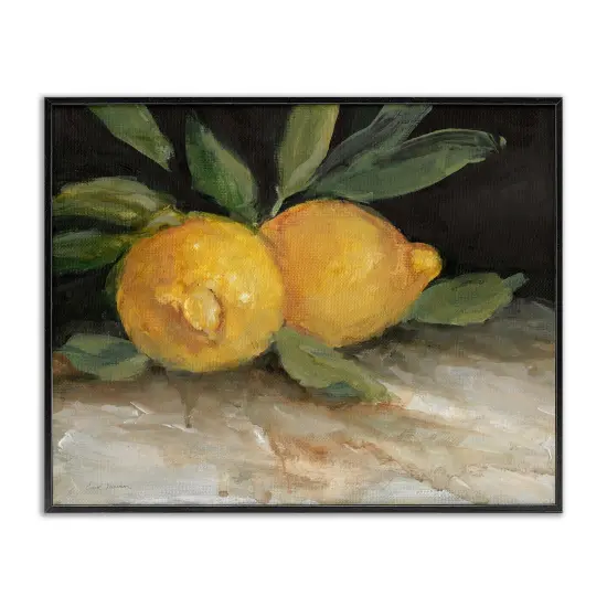 Stupell Industries Traditional Lemons Duo Framed Giclee Wall Art Design by Carol Robinson {1}