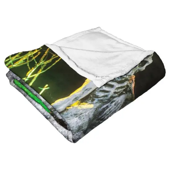 Warner Brothers Beetlejuice Silk Touch Throw Blanket Here Lies {4}