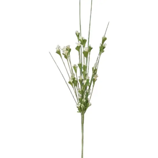 Wild Blossoms Pick Cream {1}