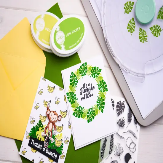 Sizzix Clear Stamps Set By Catherine Pooler 18/Pkg-Stay Wild {6}