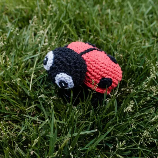 Hoooked Amigurumi DIY Kit W/Eco Barbante Yarn-Ladybird Daisy {2}