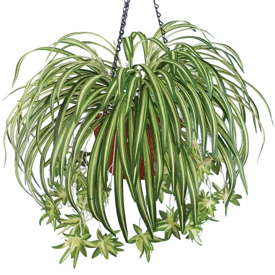 Collections Etc Realistic-Looking Hanging Spider Plant Bushes - Set of 3 {1}