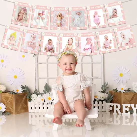 Daisy 1st Birthday Photo Banner for Girls, Pink Groovy 1-12 Monthly Photo Banner, Daisy Boho Hippie Baby Girl First Bday Party Supplies {4}