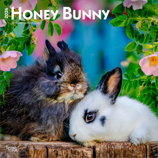 Honey Bunny | 2026 12 x 24 Inch (Hanging) Monthly Square Wall Calendar | Plastic-Free {1}