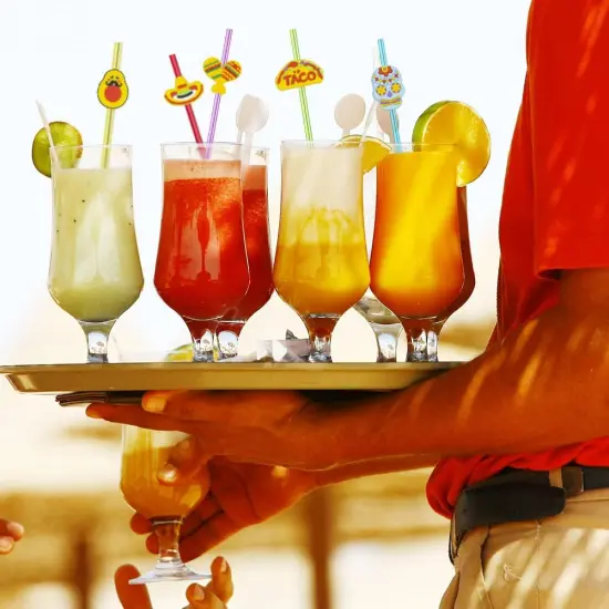 24pcs Cinco De Mayo Fiesta Theme Beverage Cocktail Straws for Mexico Fiesta Taco Party Supplies Party Favor with 2 Pieces Straw Cleaning Brushes, 6 Colors Straws {3}