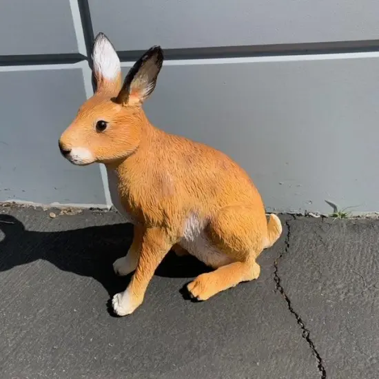 Hare Rabbit Life Size Statue {4}