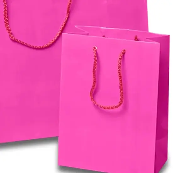 Colored Glossy Mini Totes 12'' x 5 1/2'' x 17'' for Party Favors Shocking Pink {5}