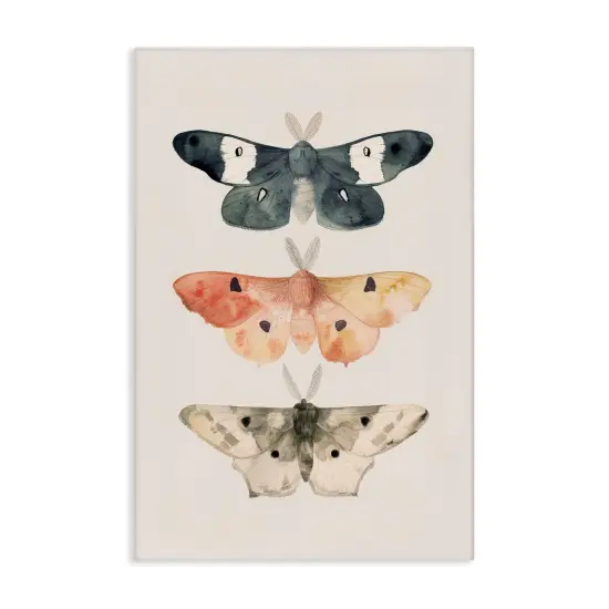Stupell Industries Watercolor Moth Trio Canvas Wall Art Design by Petal Prints Design {1}