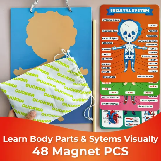 Magnetic Montessori Puzzles for Kids | Anatomy {3}