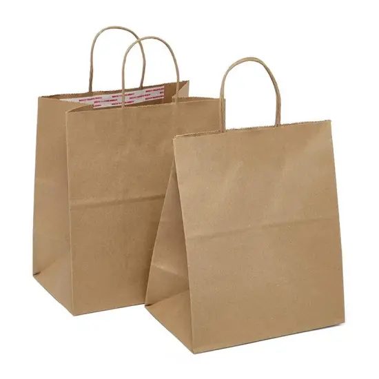 Tamper-Resistant Take-Out Shopping Bags Standard 10" x 6 3/4" x 12" {4}