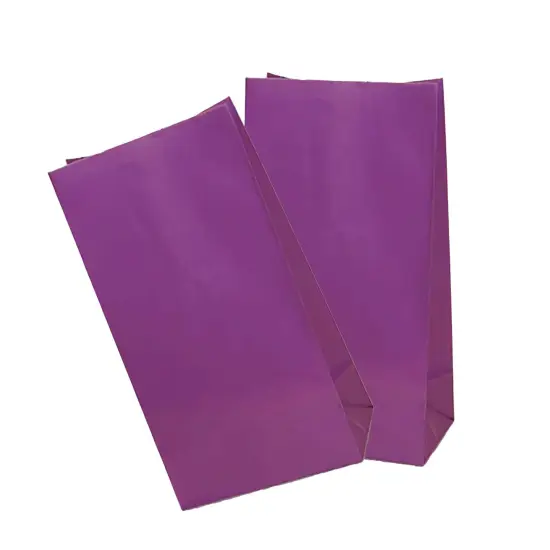 Colored Paper Bags 5'' x 3 1/8'' x 9 5/8'' Gift Bags {5}
