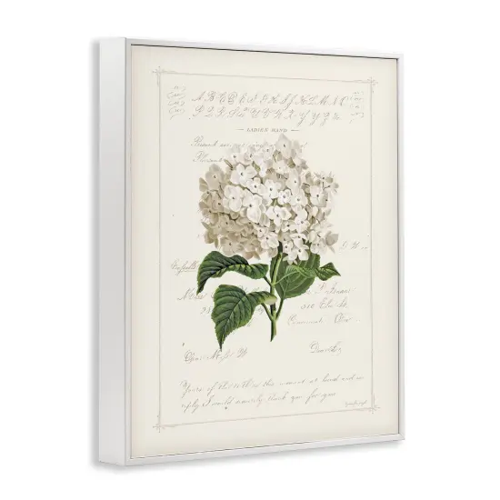 Stupell Industries Vintage Floral Motif Framed Giclee By Jennifer Pugh {3}