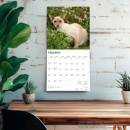 Siamese Cats | 2026 12 x 24 Inch (Hanging) Monthly Square Wall Calendar | Plastic-Free {5}