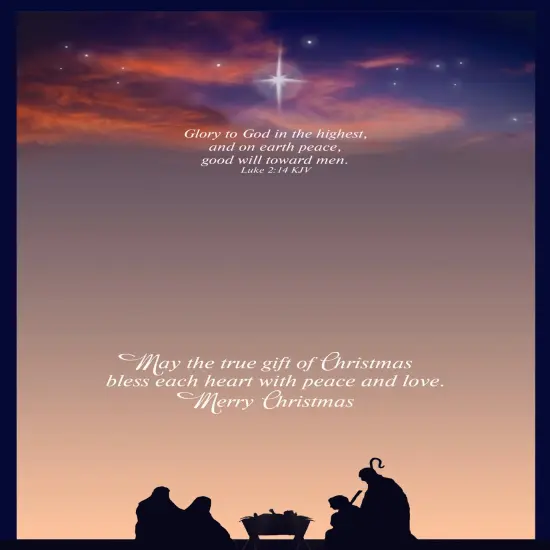 Large Boxed Christmas Card Assortment- Peace and Joy - 24 cards and envelopes {5}