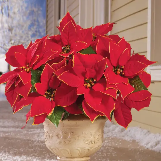 Collections Etc Glitter Poinsettia Bushes - Set of 3 {1}