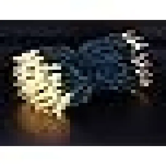 Count Warm White LED Christmas String Lights {3}