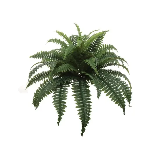 Boston Fern Plant with 49 Silk Fronds 34" Wide - 2 PACK {1}