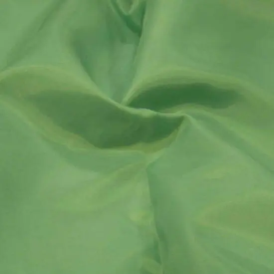 Polyester Lining Fabric 60" Wide Woven Taffeta for Apparel, Tents & Decoration Baby Blue {2}