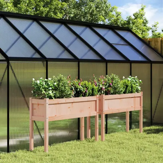 vidaXL Garden Planters 2 pcs with Legs Solid Wood Douglas {1}