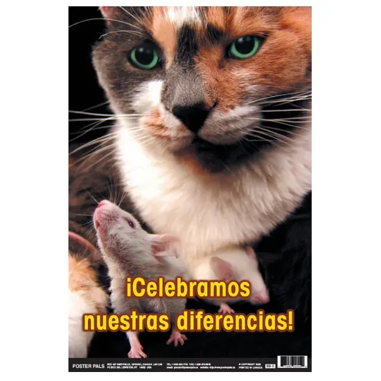 Poster Pals Spanish Educational and Language Teaching Fun Photo Posters,Bilingual Charts, Classroom Decorations, 4 Poster Set {6}