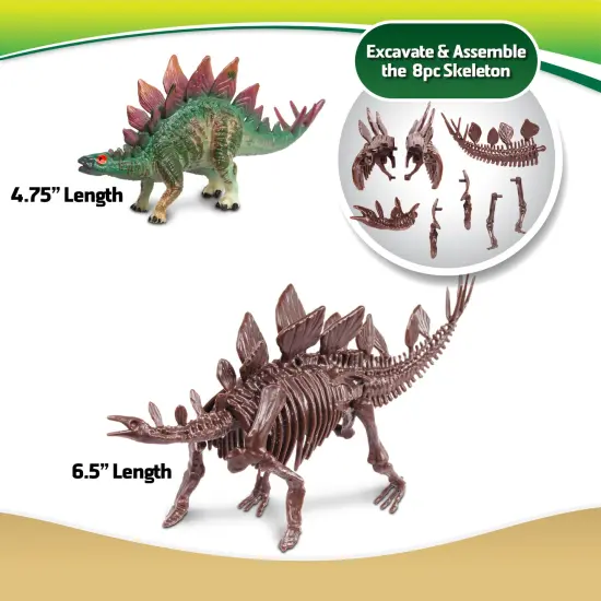 WowWorld: Dino Dig - Stegosaurus - All-In-One Dinosaur Skeleton Excavation Kit, Tools & Construction Figurine, Educational Science Toy, Kids Ages 6+ {4}