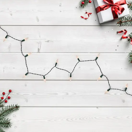 Northlight LED C6 Faceted Christmas Lights - Warm White- 15.75’ Green Wire- 50ct {3}