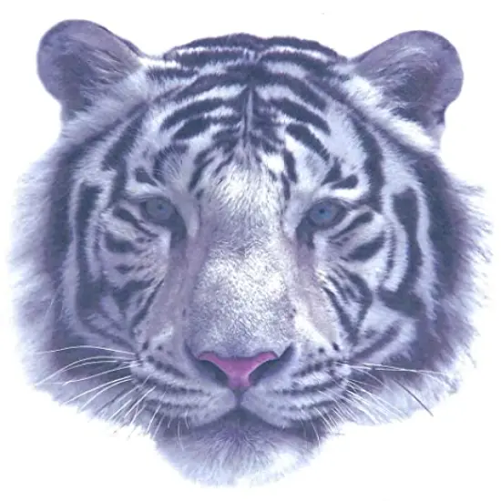 White Tiger Edible Cake or Cupcake Topper fits 1/4 sheet cake or larger {1}