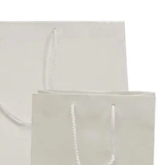 Compact and Glossy 9 3/4'' x 4 '' x 7 3/4'' Paper Euro Totes White {5}