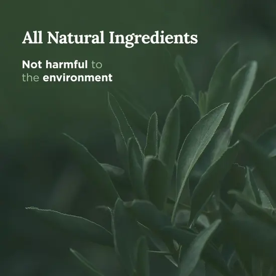 Magnificent 101 Pure Sage Energy Cleansing Aromatherapy Glass Candle for Meditation, Manifestation, and Intention-Setting - 6 oz Natural Soy Wax and Essential Oil | 56-Hour Burn Time Multicolor {3}