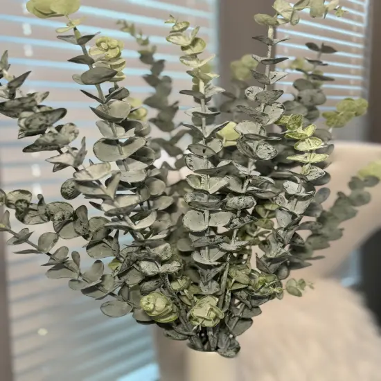 Artificial Eucalyptus Branches Green Frosted Plant 30" 3 Stems {4}