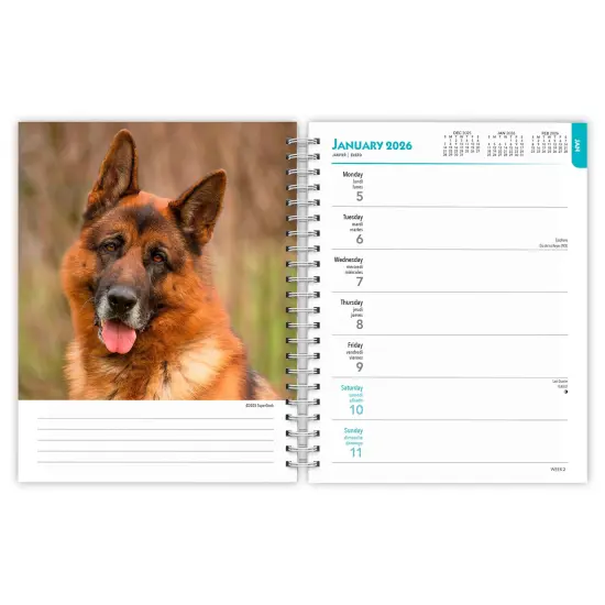 German Shepherds | 2026 6x7.75 Inch Spiral-Bound Wire-O Weekly Engagement Planner Calendar | New Full-Color Image Every Week {3}