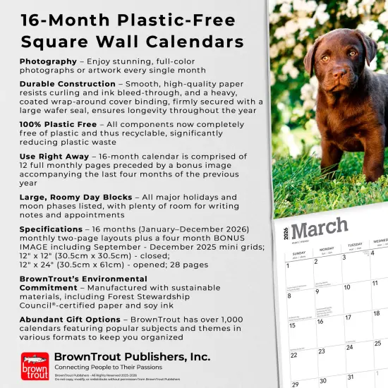Chocolate Labrador Retriever Puppies | 2026 12 x 24 Inch (Hanging) Monthly Square Wall Calendar | Plastic-Free {6}