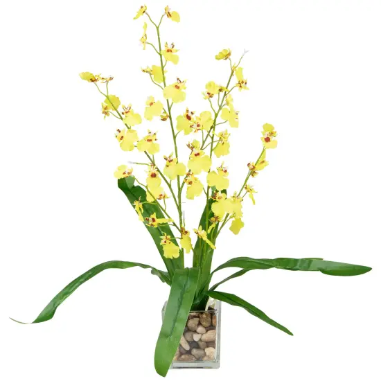 Northlight 23.5" Yellow Potted Artificial Oncidium Orchid Flower Plant Green {3}