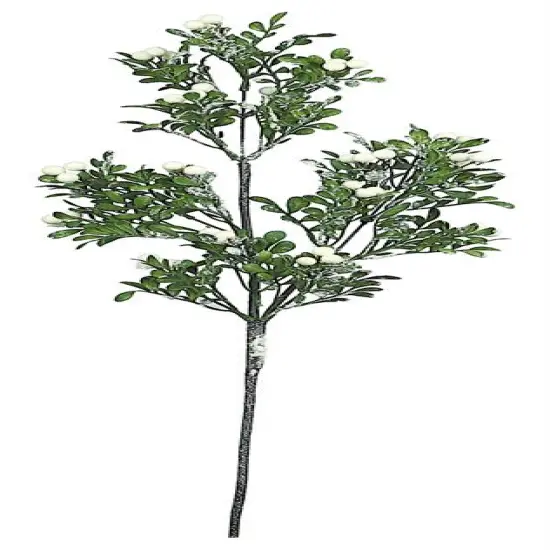 29'' Snow Mixed Boxwood Spray w/ White Berries - Elegant Winter Greenery -XP2409-GW {2}