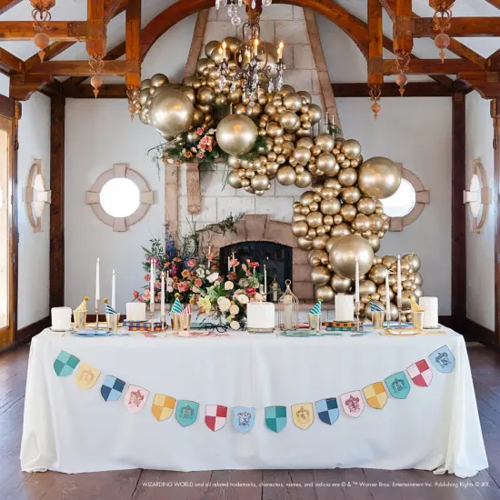 HARRY POTTER X BONJOUR F&Ecirc;TE HOUSE PRIDE MULTICOLOR DECORATIVE HOGWARTS BANNER {4}