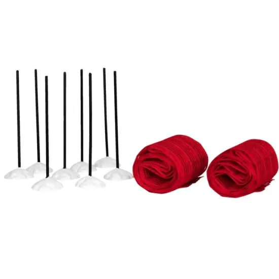 Lemax Ski Racing Net {1}