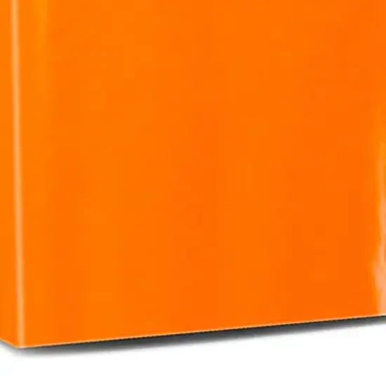 Elegant Solid Gift Wrap 30" x 417' 60 lbs for Special Celebrations {4}