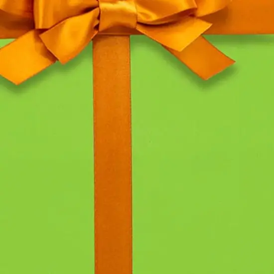 Chic Solid Wrapping Paper 30" x 417' 60 lbs for Sophisticated Touch {4}