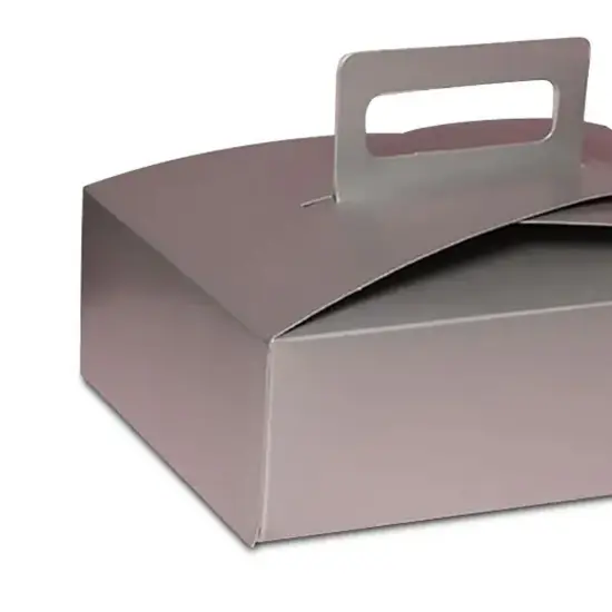 Handled Flat Take-Out Container Sturdy 9" x 7" x 3" {4}