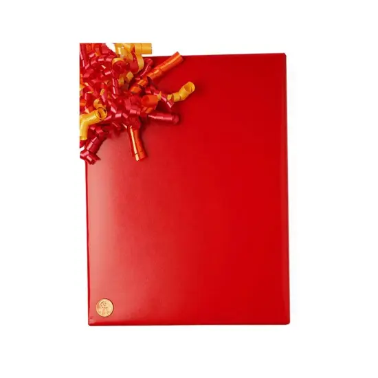 Smooth & Solid Gift Wrapping Paper Roll 24" x 417' {2}