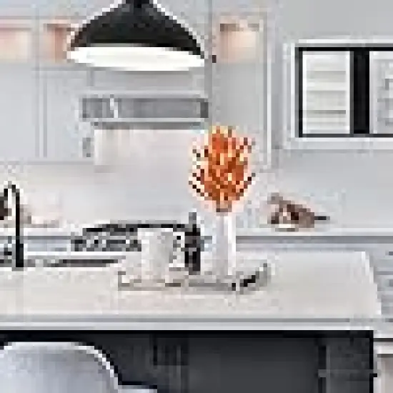 Dried Lagurus Ovatus {6}