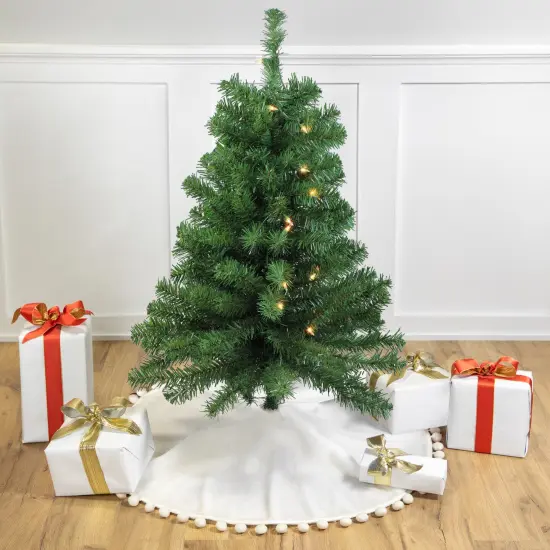 Northlight Pre-Lit Medium Blackwater Fir Artificial Christmas Tree - 3' - Clear Lights Green {1}